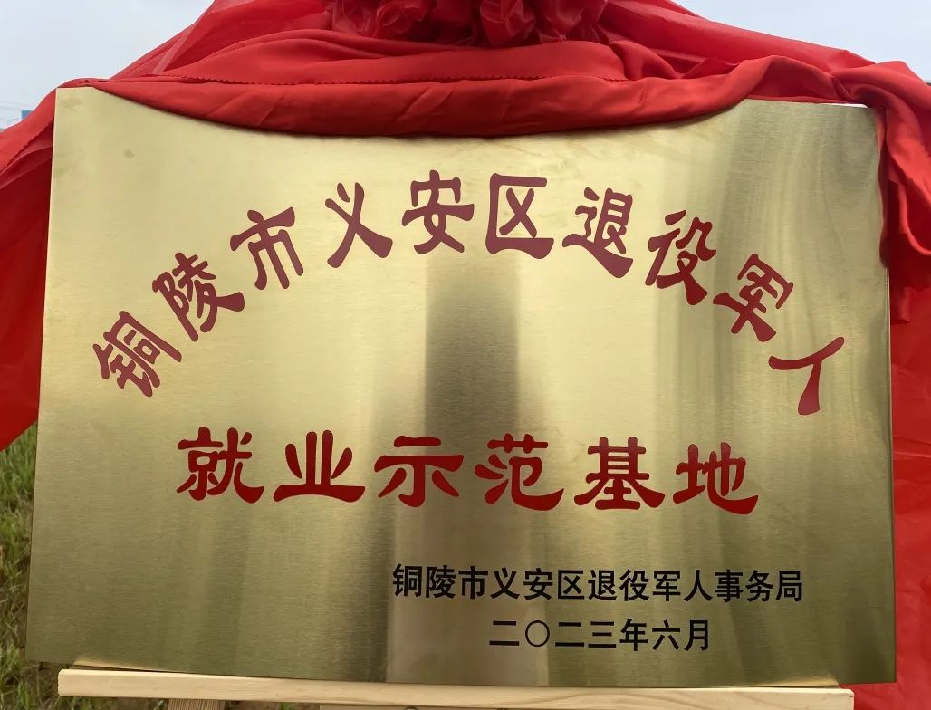 jdb电子游戏(中国)官方网站